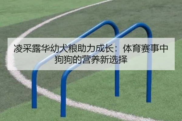凌采露华幼犬粮助力成长：体育赛事中狗狗的营养新选择