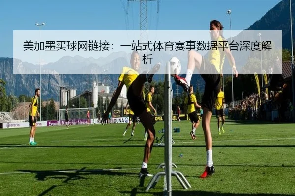 美加墨买球网链接：一站式体育赛事数据平台深度解析