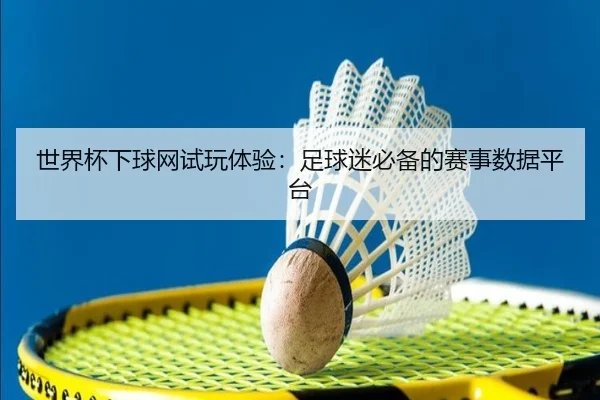 世界杯下球网试玩体验：足球迷必备的赛事数据平台
